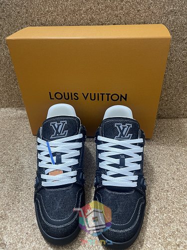 נעלי LV Trainer של Louis Vuitton 22