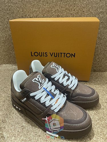 נעלי LV Trainer של Louis Vuitton 25