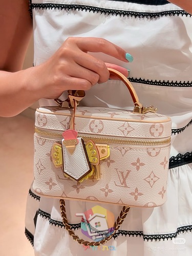 תיק סאדל מיני Louis Vuitton במונוגרם קלאסי 11