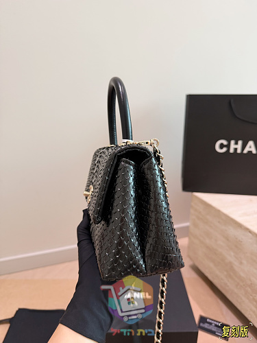תיק Chanel Coco Handle בהדפס נחש 6