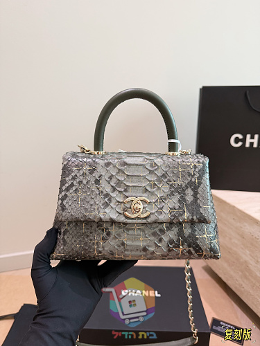 תיק Chanel Coco Handle בהדפס נחש 12