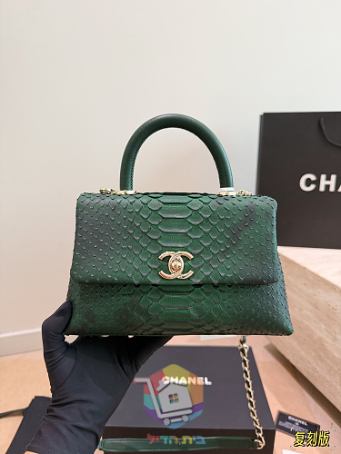 תיק Chanel Coco Handle בהדפס נחש 14