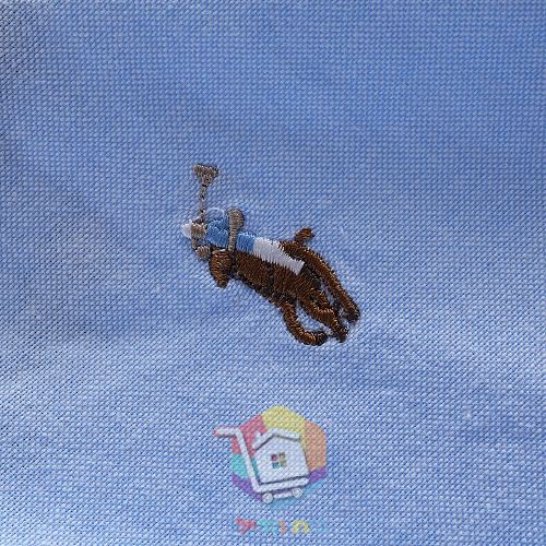 חולצת אוקספורד Polo Ralph Lauren בשרוול ארוך 2