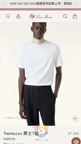 חולצת Loro Piana מכותנת Sea Island מבריקה 25