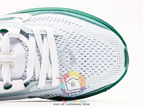 נעלי ריצה Nike ברשת בחמישה גוונים 1